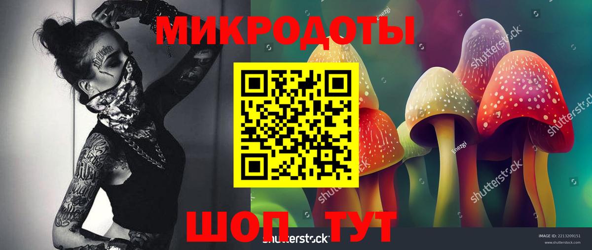 Галлюциногенные грибы Psilocybe Санкт-Петербург